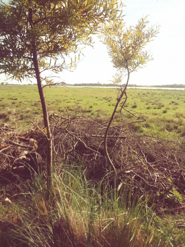 VENTA 23 has Gral Madariaga, con ribera a la laguna el Carbon, distancia 5km de autovia 56 ,  