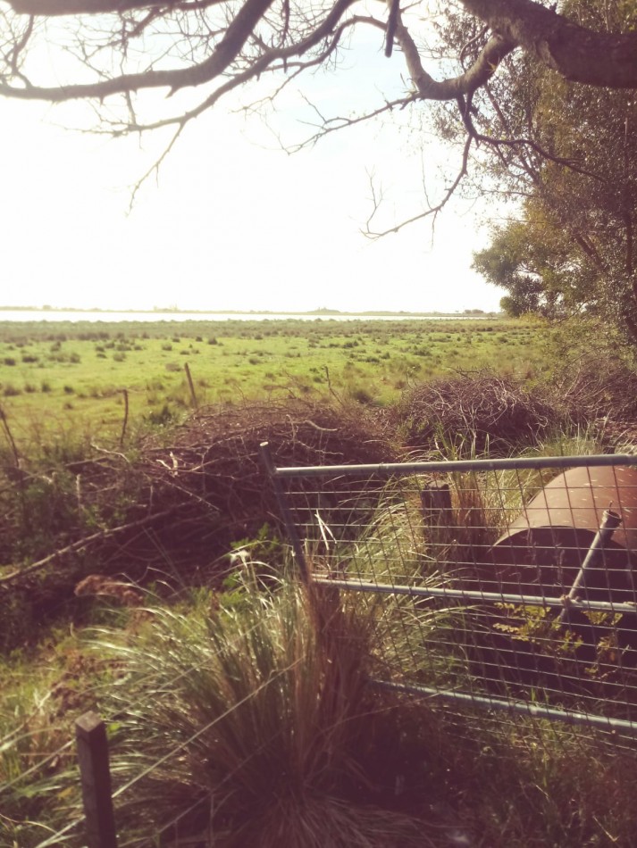 VENTA 23 has Gral Madariaga, con ribera a la laguna el Carbon, distancia 5km de autovia 56 ,  