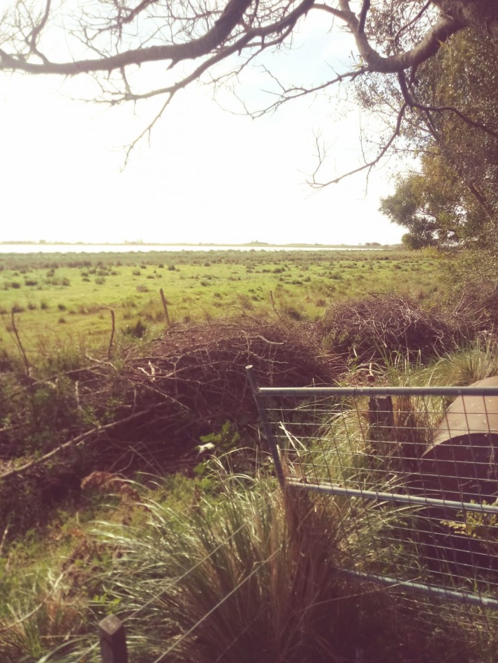 VENTA 23 has Gral Madariaga, con ribera a la laguna el Carbon, distancia 5km de autovia 56 ,  