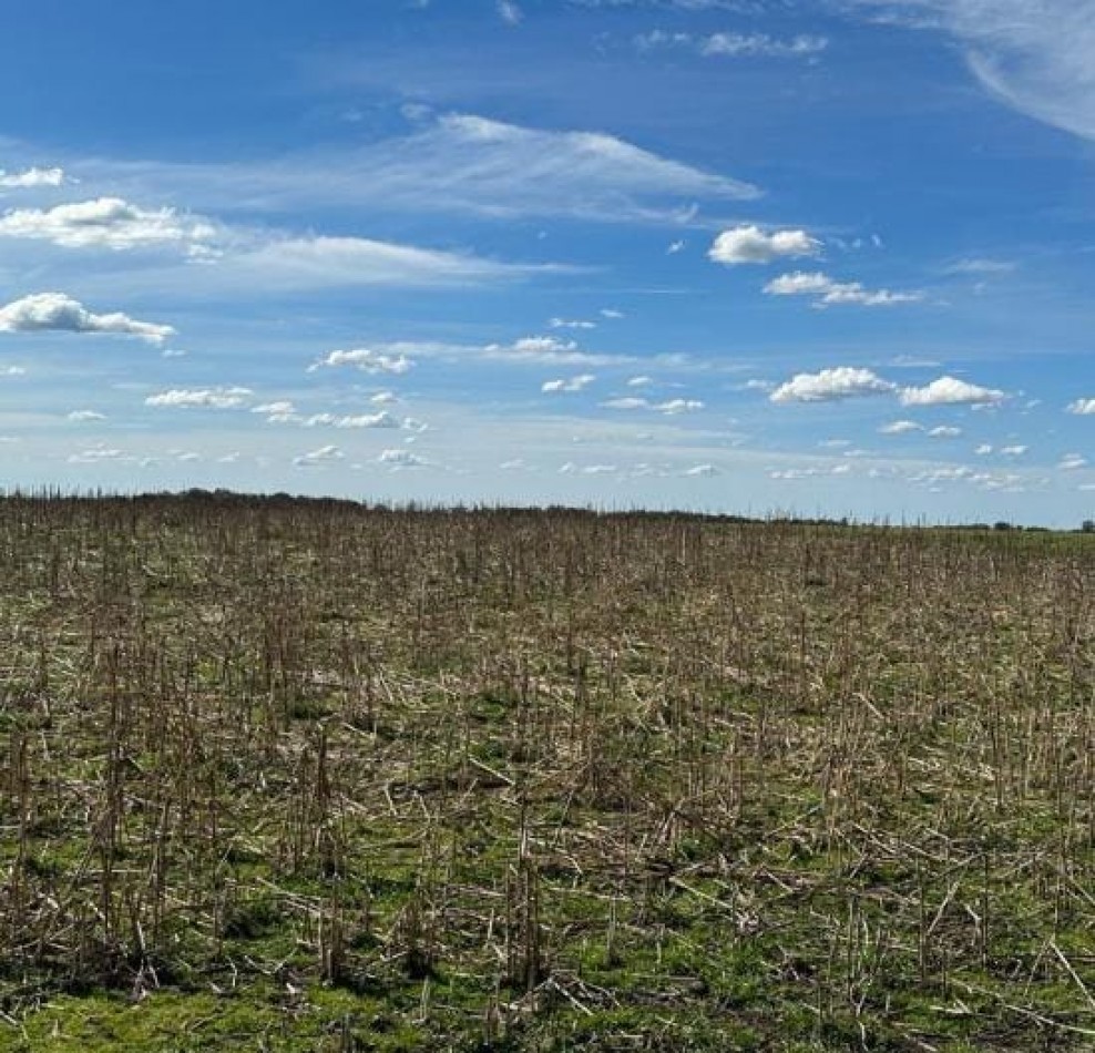 VENTA 23 has Gral Madariaga, con ribera a la laguna el Carbon, distancia 5km de autovia 56 ,  