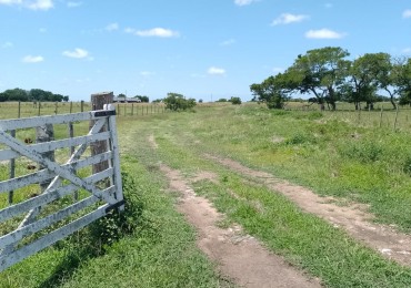 VENTA 32 has frente de ruta
