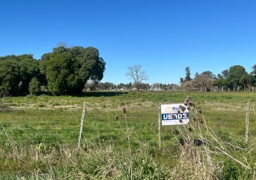 LOTE 