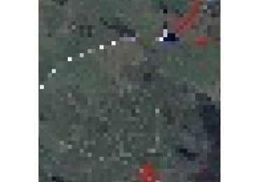 CAMPO 201has. MIXTO CON RIBERA A LA LAGUNA LA SALADA GRANDE